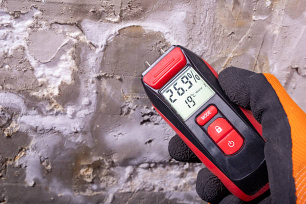 Best Commercial Mold Removal  in Jacksonwald, PA