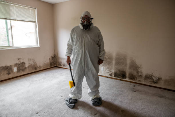 Best Fast Mold Removal  in Jacksonwald, PA